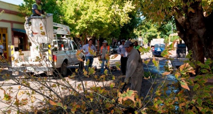 Jun&iacute;n comenz&oacute; la temporada de poda y erradicaci&oacute;n de forestales