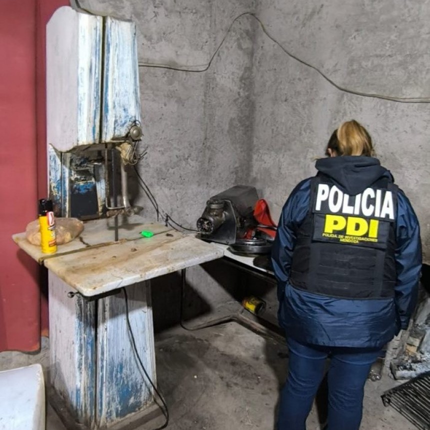 Secuestran 150kg de carne y alimentos vinculados a abigeato, en San Mart&iacute;n