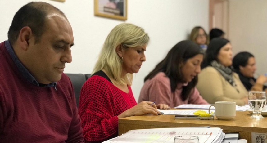 Se aprob&oacute; en el HCD de Santa Rosa, la entrega de mercader&iacute;a