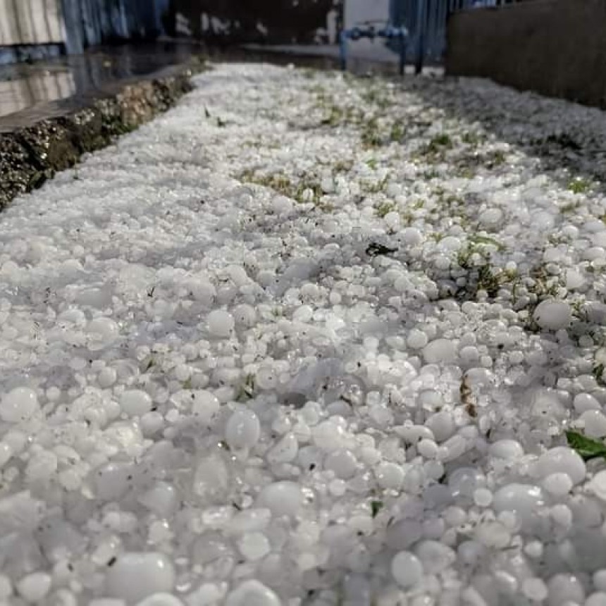 Granizo azota el norte de San Mart&iacute;n: regi&oacute;n productiva sufre da&ntilde;os severos 